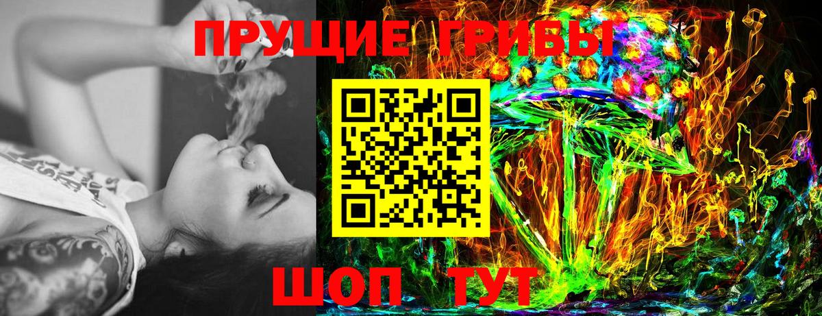 Галлюциногенные грибы Magic Shrooms  Вход с VPN  где можно купить   Сальск  Псилоцибиновые грибы мицелий 