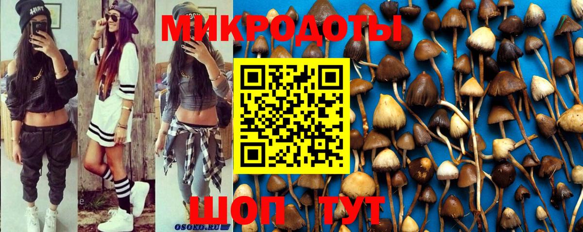 Псилоцибиновые грибы ЛСД Сальск